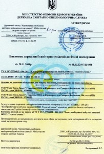 СЕС Висновок